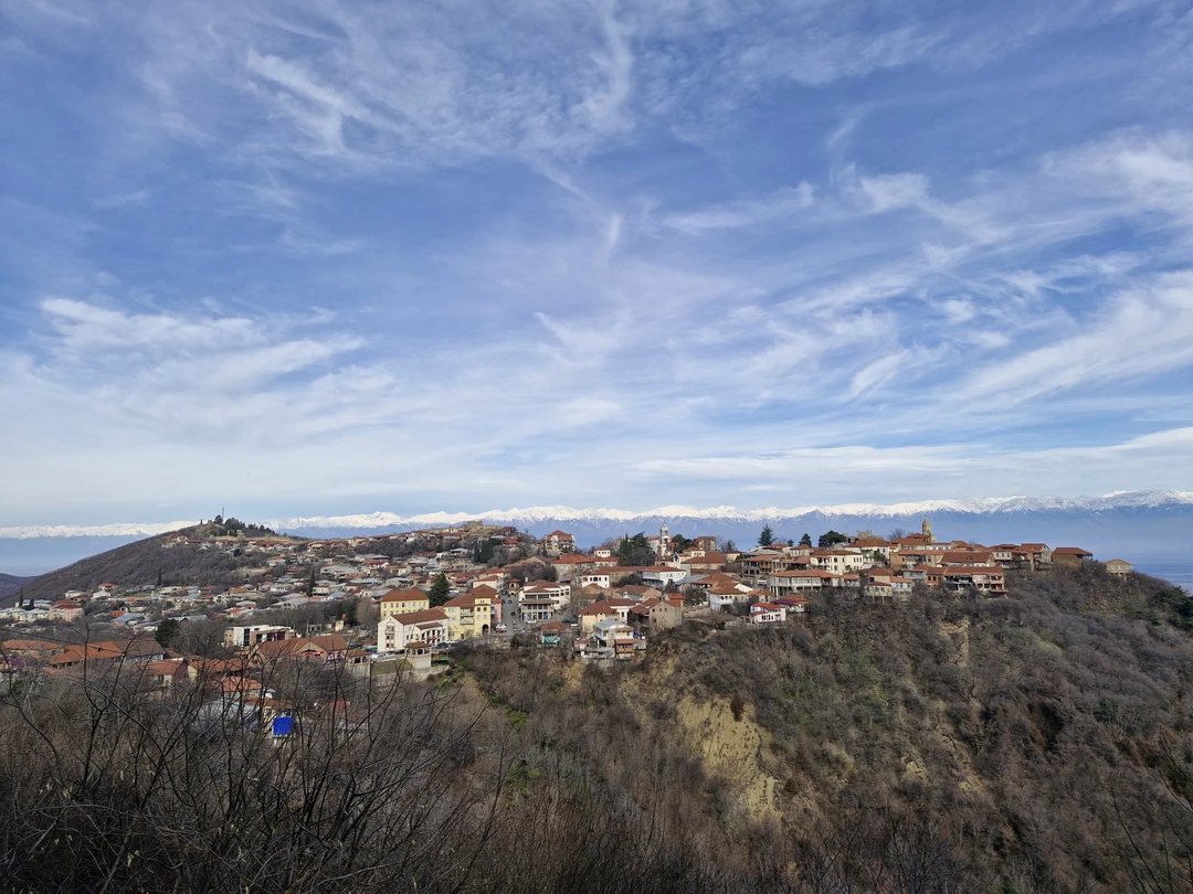 Отзыв о экскурсии "Групповая поездка в Кахетию: Бодбе, Сигнахи и Цинандали" — фото 3