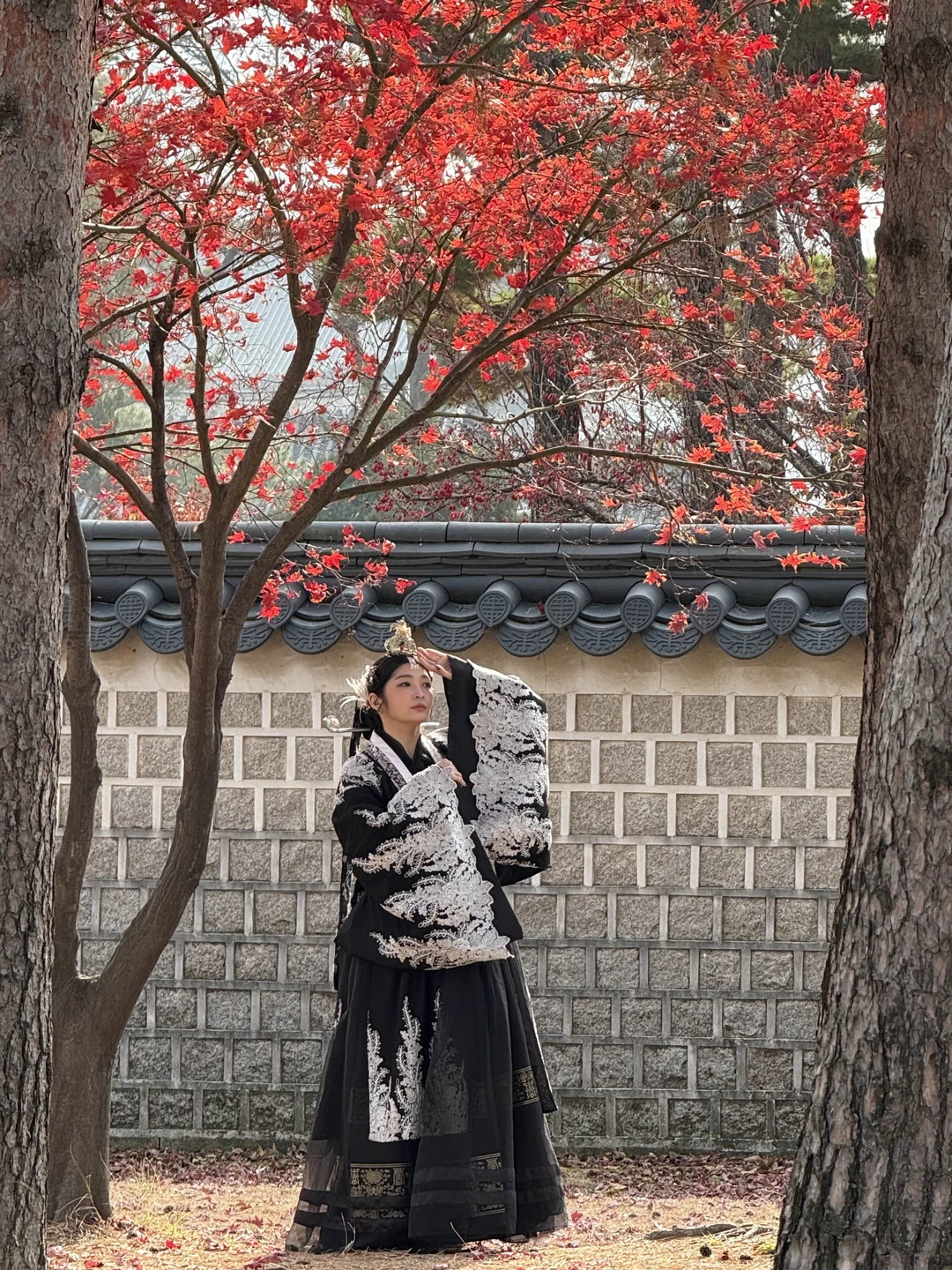 Отзывы об экскурсиях в Сеуле