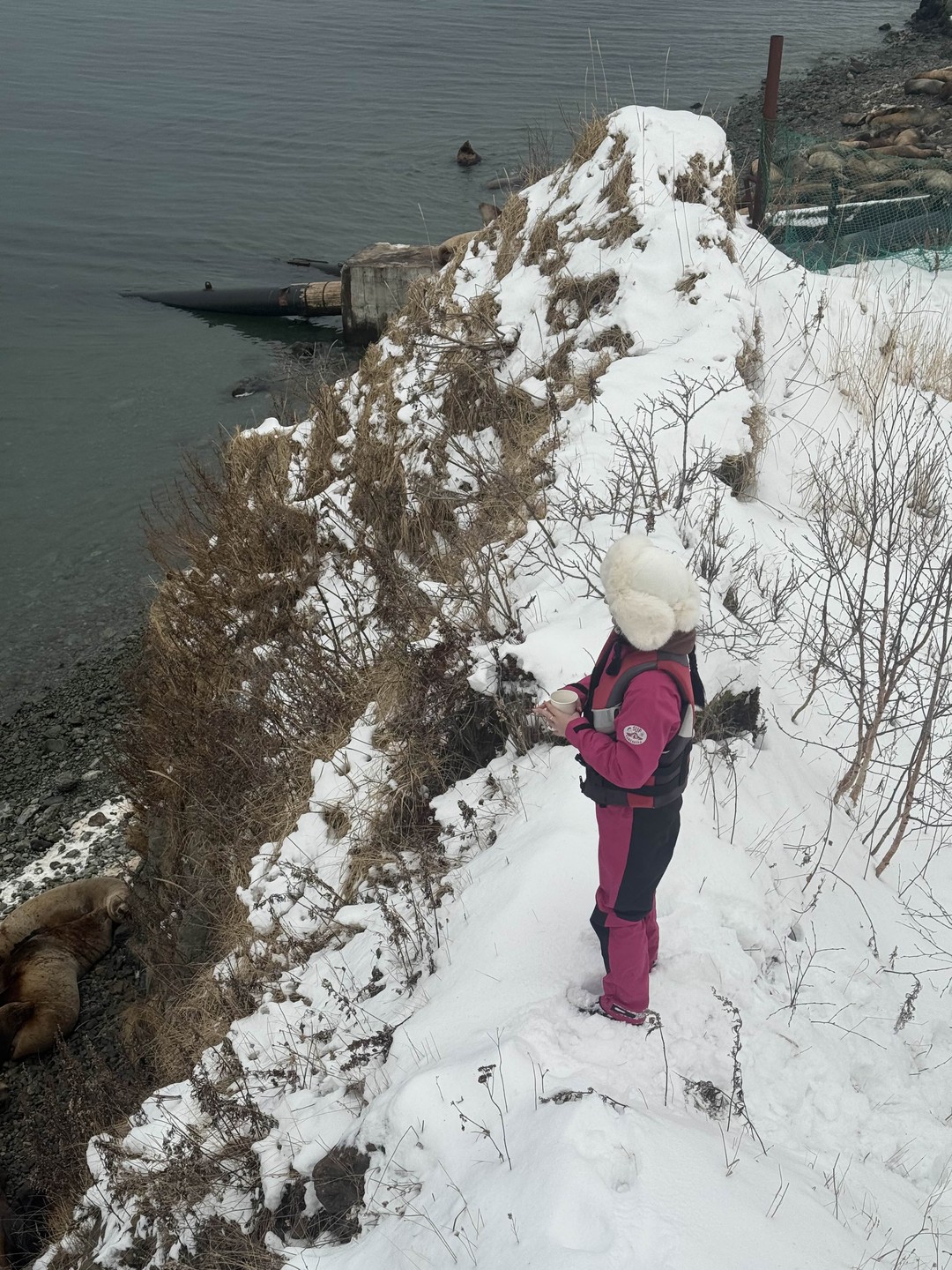 Фото путешественника — 5