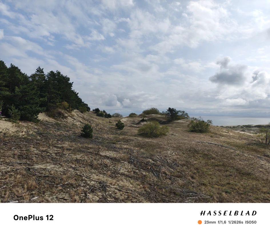 Отзыв о экскурсии "Заплетала море в косы: большое путешествие по Балтике" — фото 7