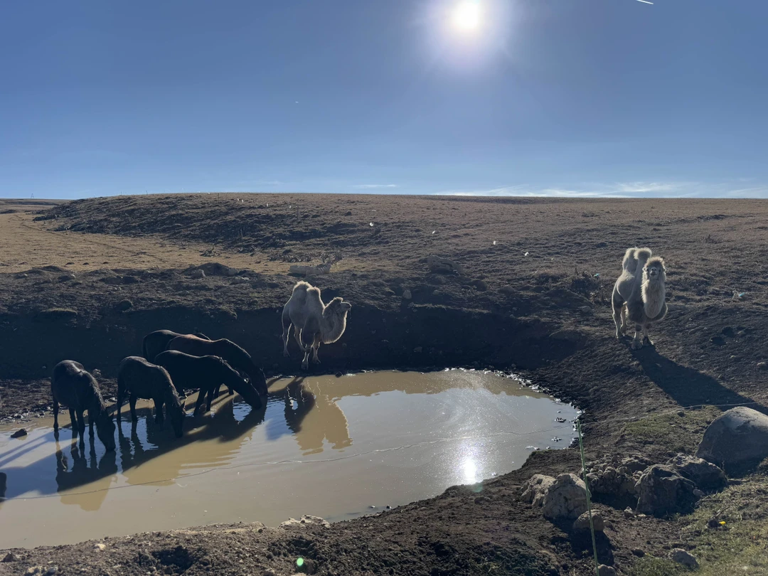 Отзыв о экскурсии "Плато Бермамыт днём или на закате из Кисловодска" — фото 1