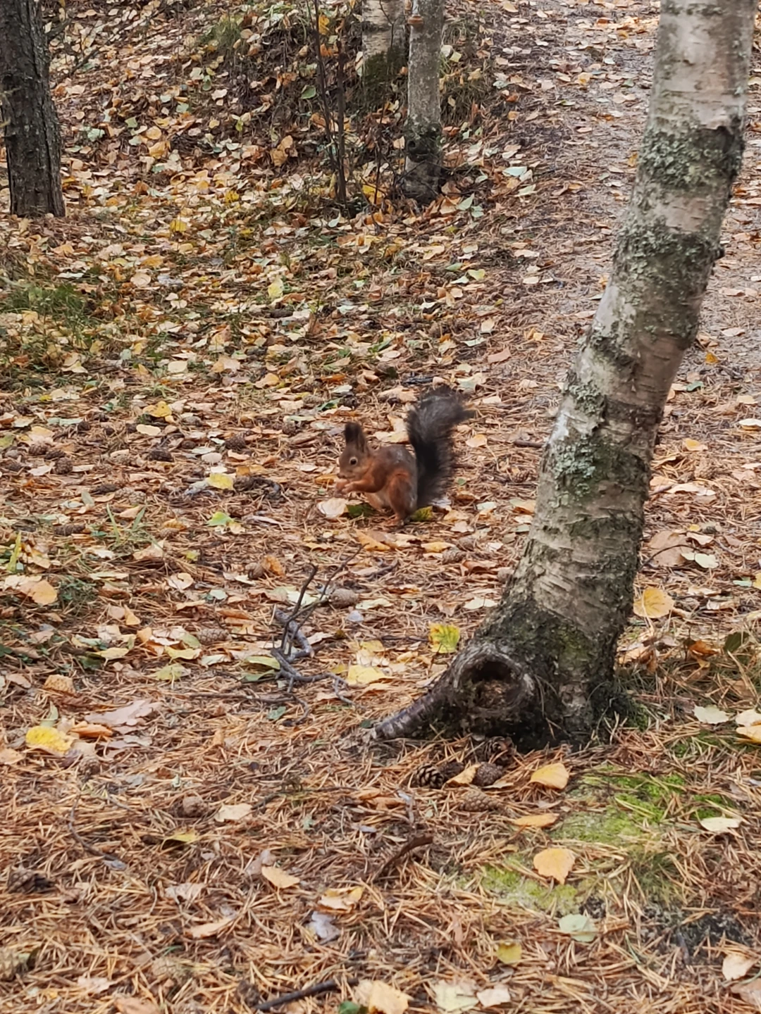 Отзыв о экскурсии "К Белому морю на остров Ягры" — фото 8