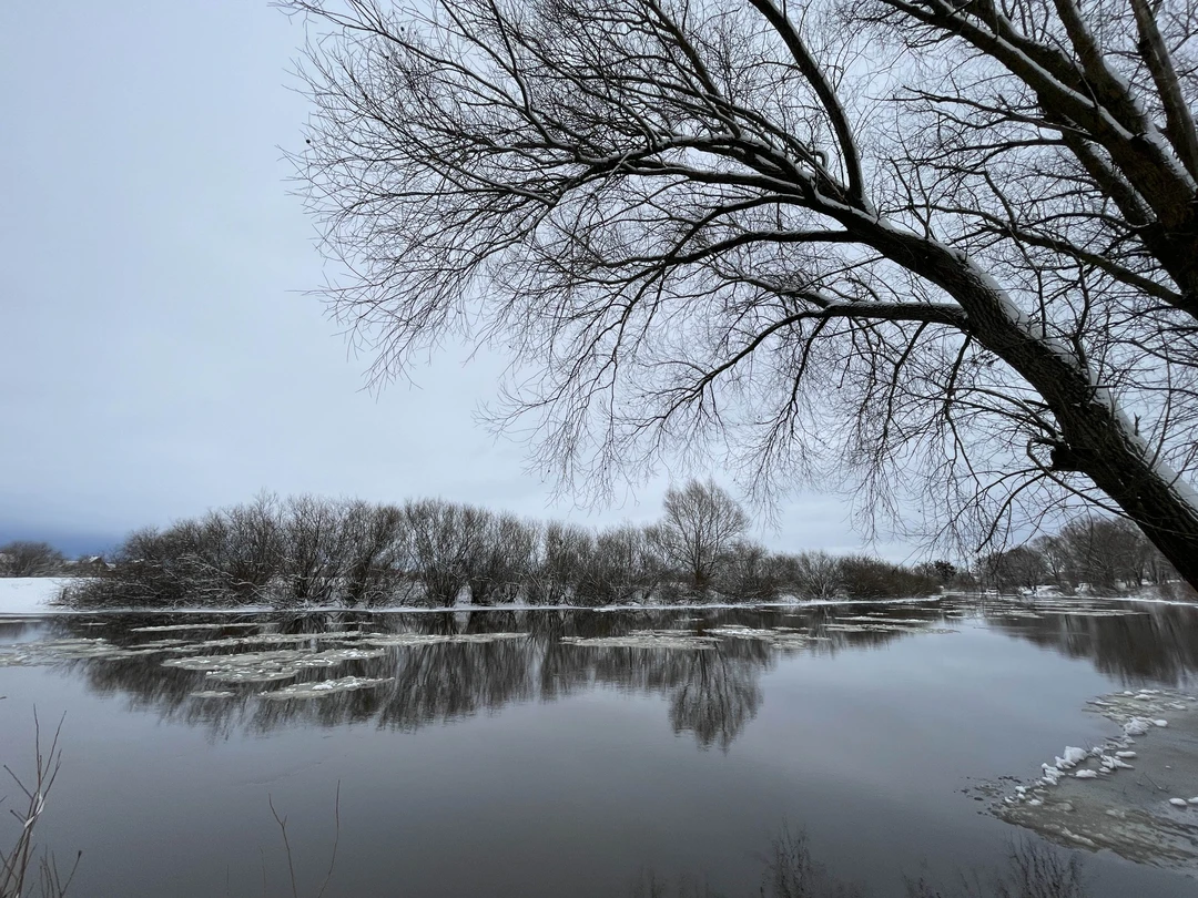 Отзыв о экскурсии "Из Зеленоградска — к замкам и малым городам Восточной Пруссии" — фото 1