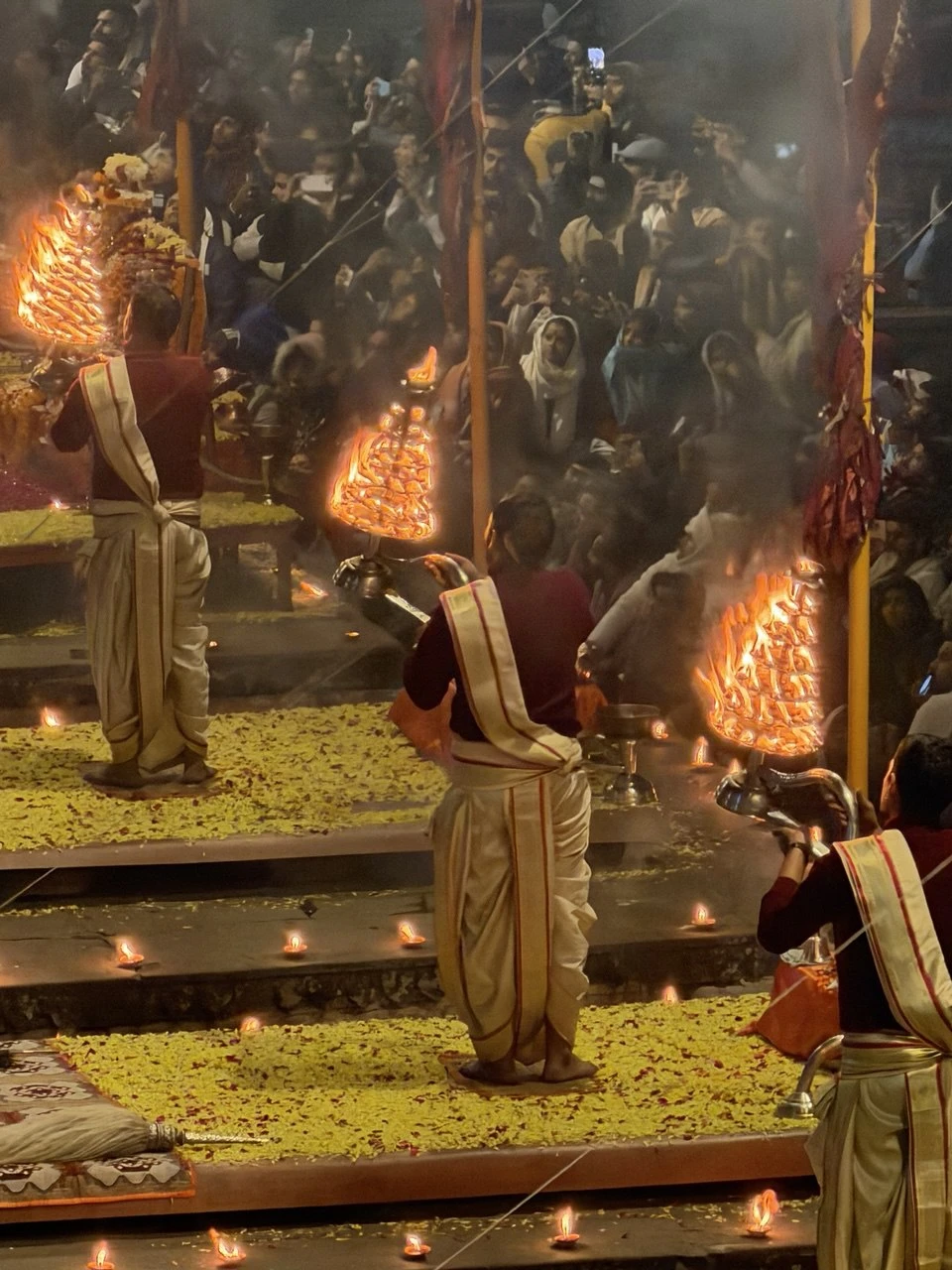 Отзывы об экскурсиях в Дели