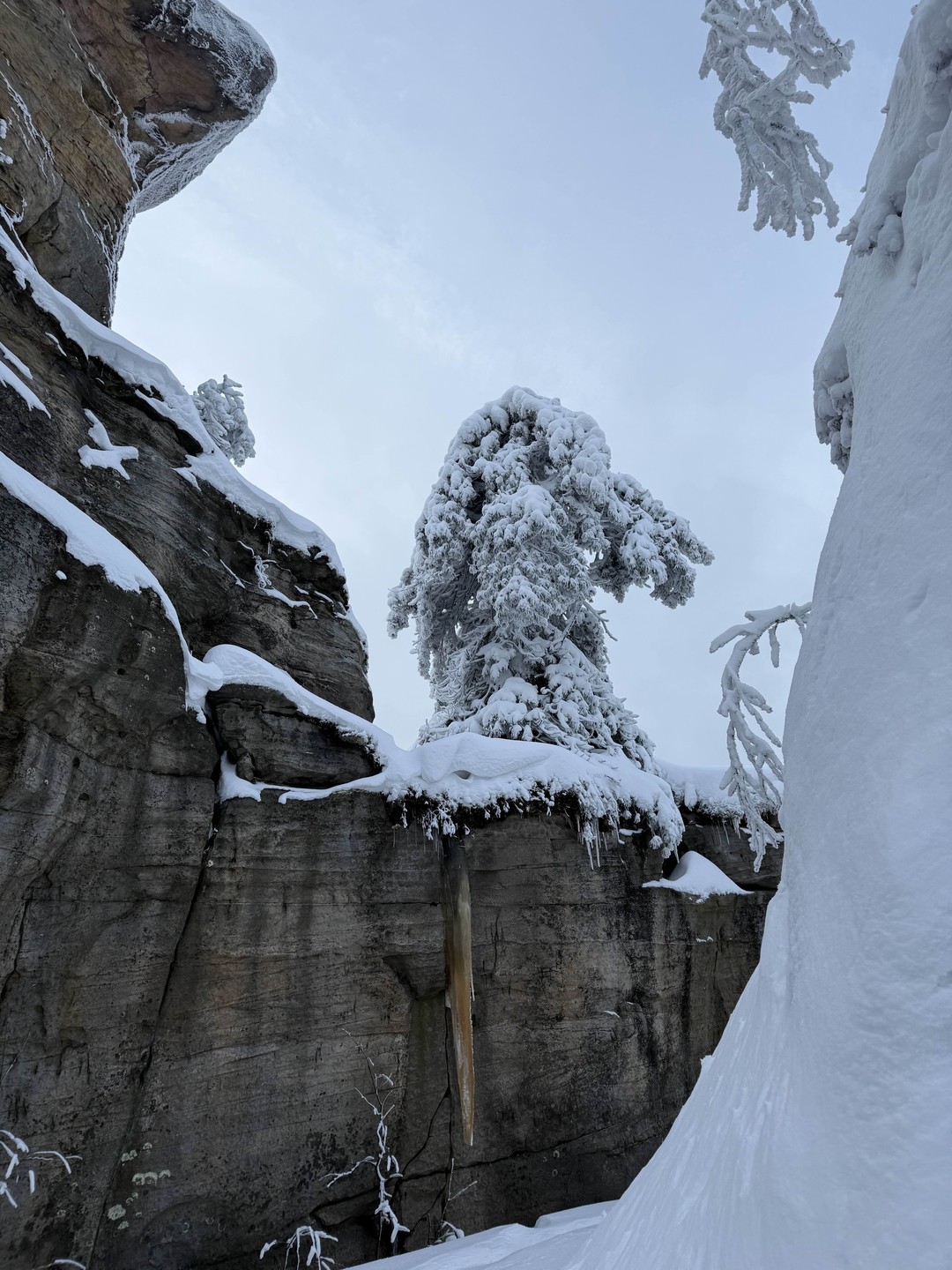Отзыв о экскурсии "Каменный город и Усьвинские Столбы" — фото 2