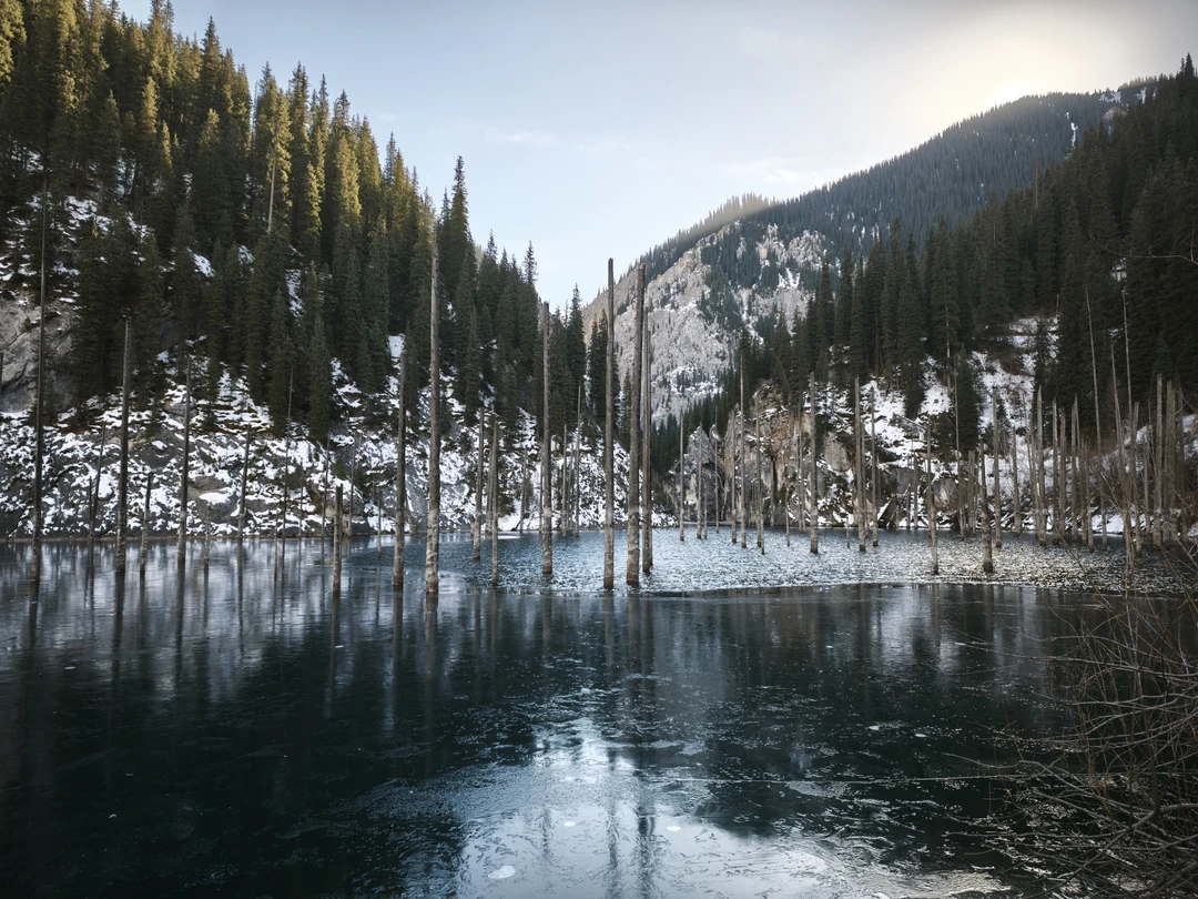 Отзыв о экскурсии "Озёра Каинды и Кольсай, Черный и Чарынский каньоны — все сокровища Алматы" — фото 3