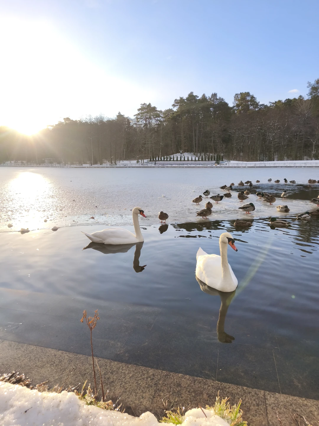 Фото путешественника — 3