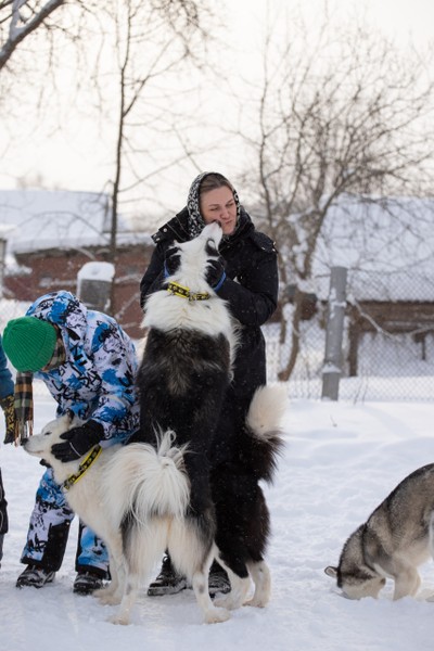Отзыв о экскурсии "В гости к сибирским хаски и якутским лайкам" — фото 3