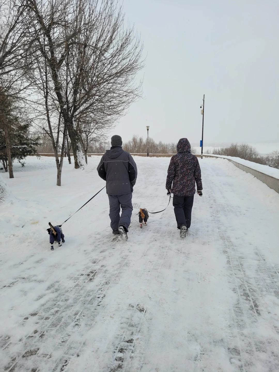 Фото путешественника — 4