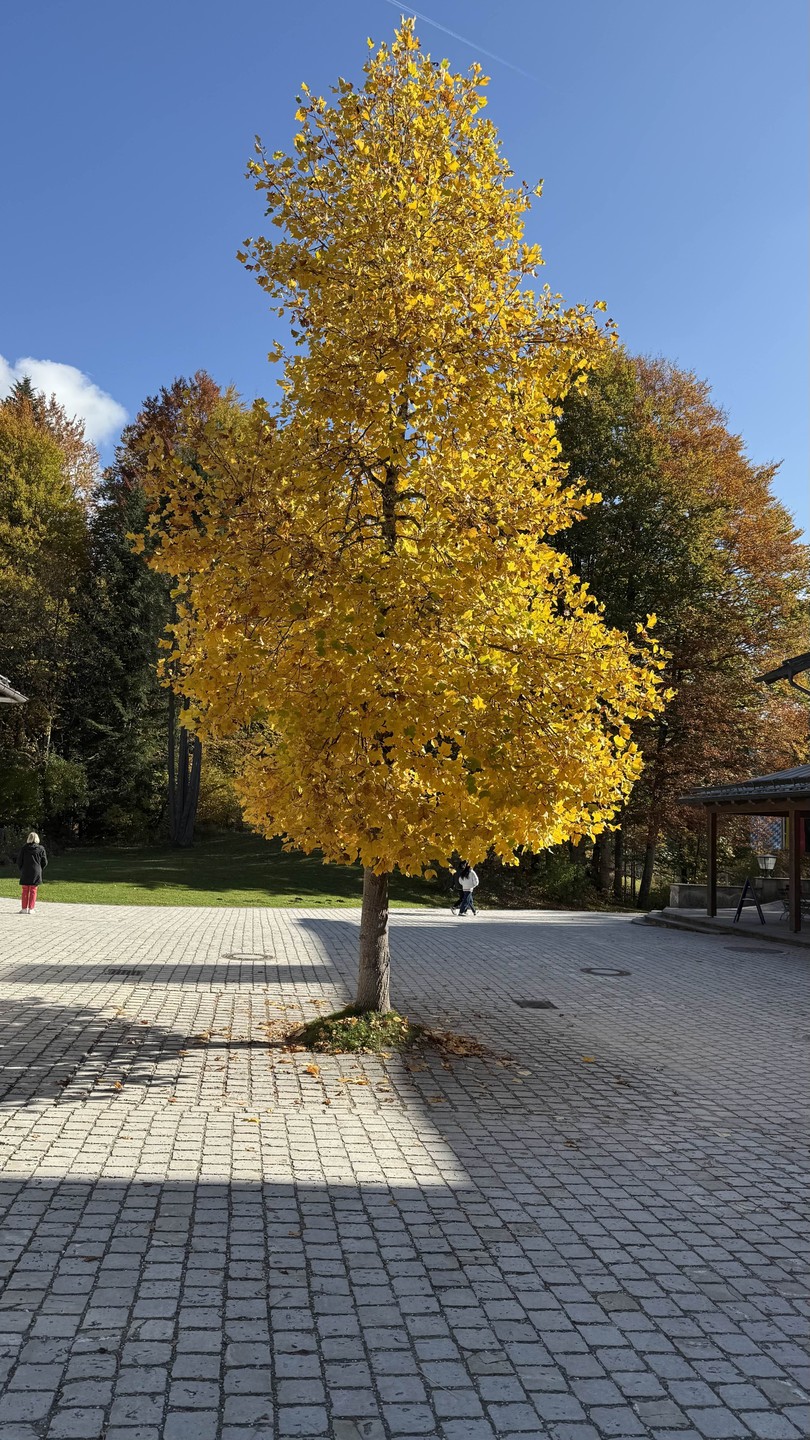 Фото путешественника — 6 Фото путешественника — 6