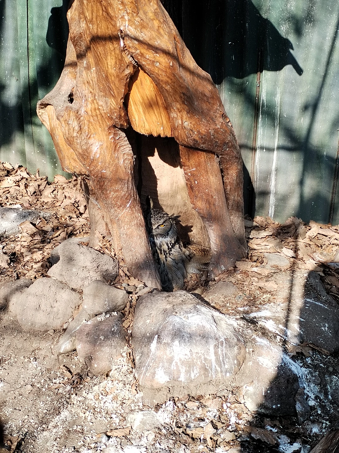 Фото путешественника — 2