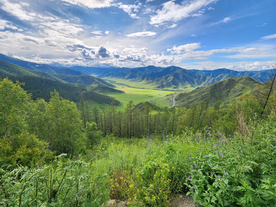 Отзыв о экскурсии "Автопутешествие по знаковым местам Алтая" — фото 2