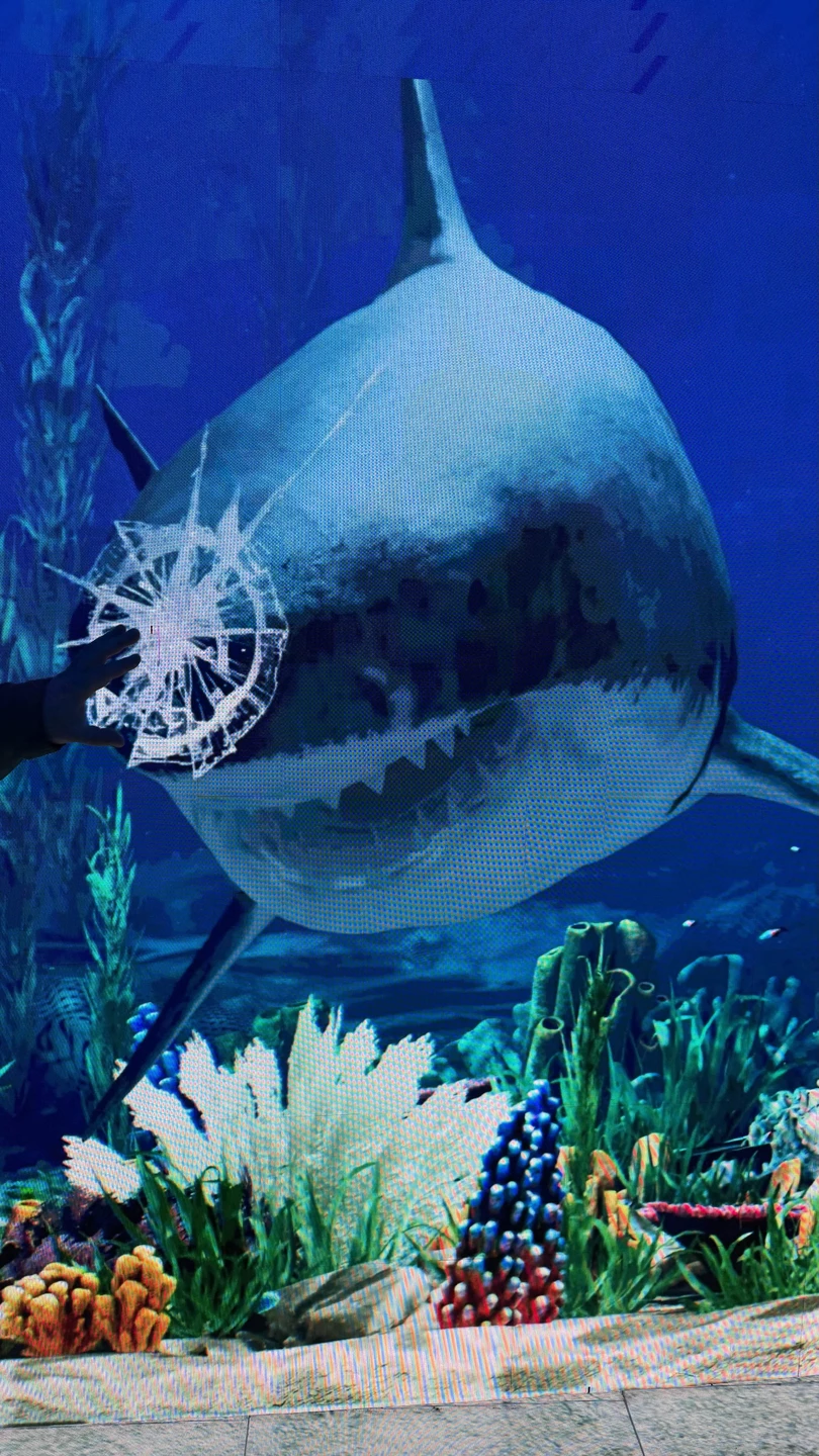 Отзыв о экскурсии "Парк Галицкого в Краснодаре: место, созданное для вдохновения" — фото 4