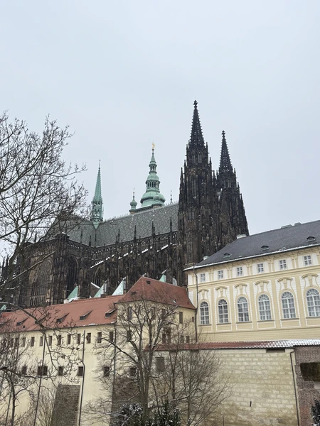 Отзывы об экскурсиях в Праге