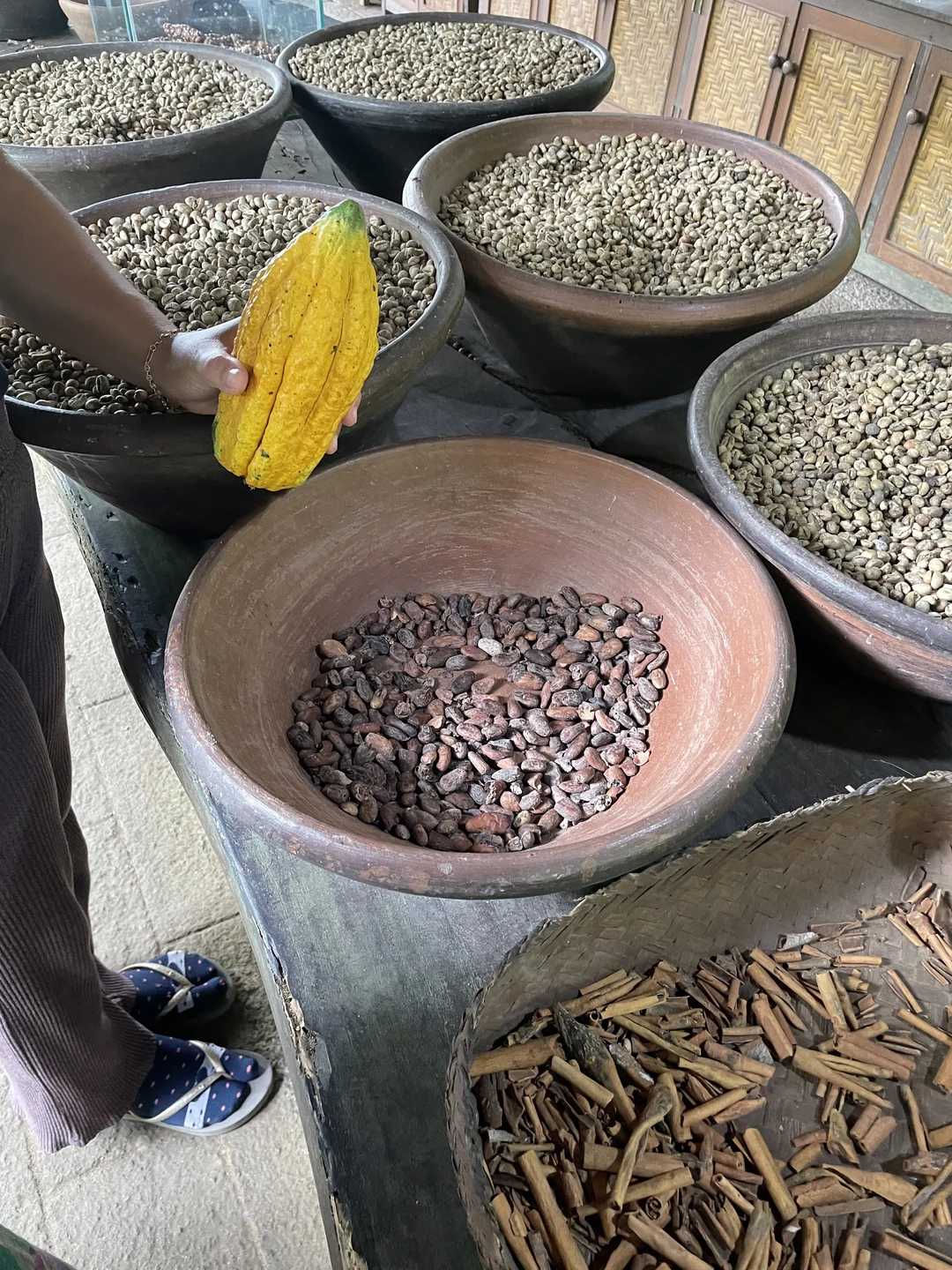 Отзыв о экскурсии "Все краски Бали" — фото 3