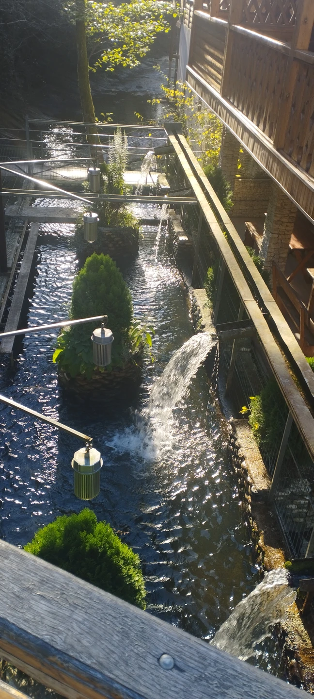 Отзыв о экскурсии "Релакс-поездка к природному спа — из Сухума" — фото 6