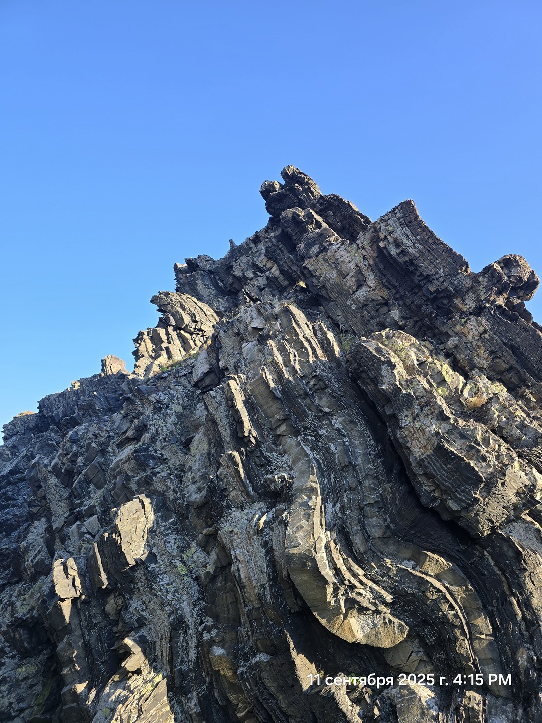 Отзыв о экскурсии "Заповедная территория: к океану на гигантской машине с проживанием в кемпинге" — фото 2