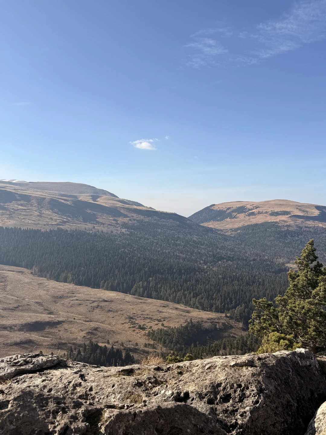 Отзыв о экскурсии "Из Краснодара — по топовым смотровым площадкам плато Лаго-Наки" — фото 7