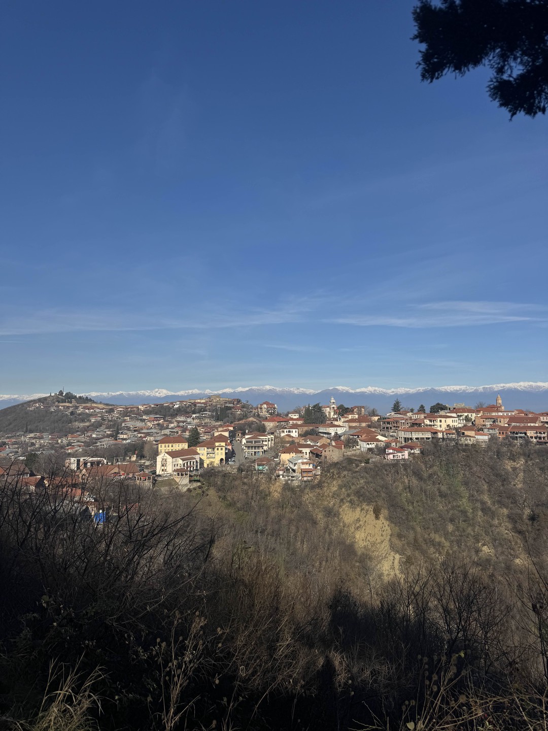 Отзыв о экскурсии "Из Тбилиси — в Кахетию на весь день: вино, храмы и Сигнахи" — фото 1