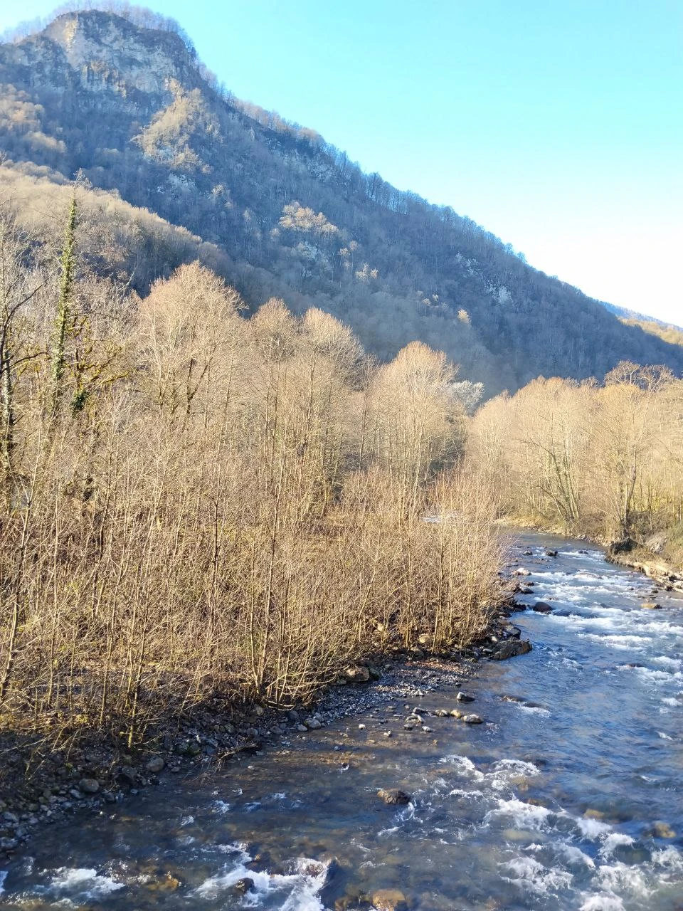 Отзыв о экскурсии "Поедем, поедим! Гастротур из Адлера" — фото 8