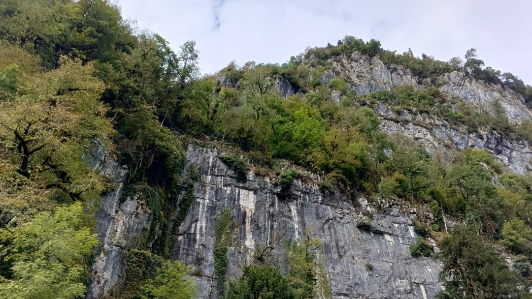 Отзыв о экскурсии "Из Пицунды — к красавице Рице" — фото 4