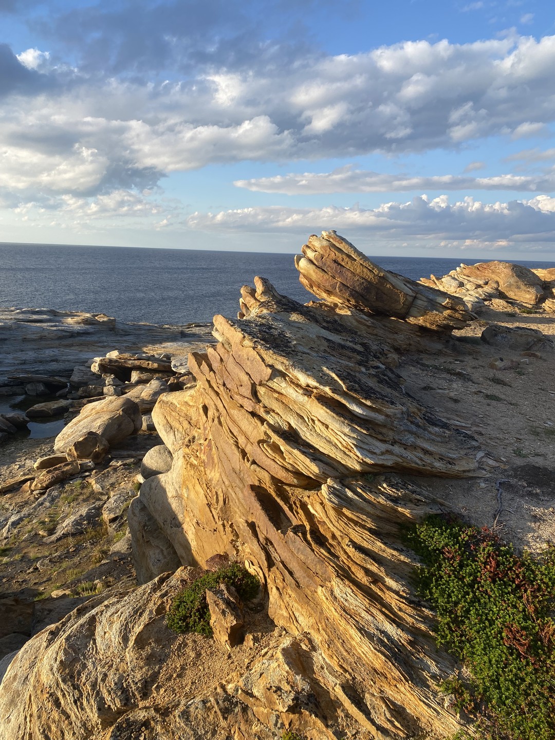 Отзыв о экскурсии "Заповедная территория: к океану на гигантской машине с проживанием в кемпинге" — фото 5
