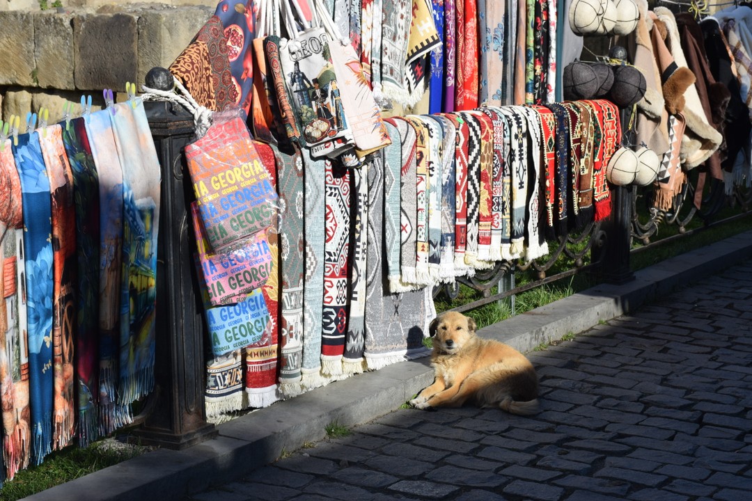 Фото путешественника — 5