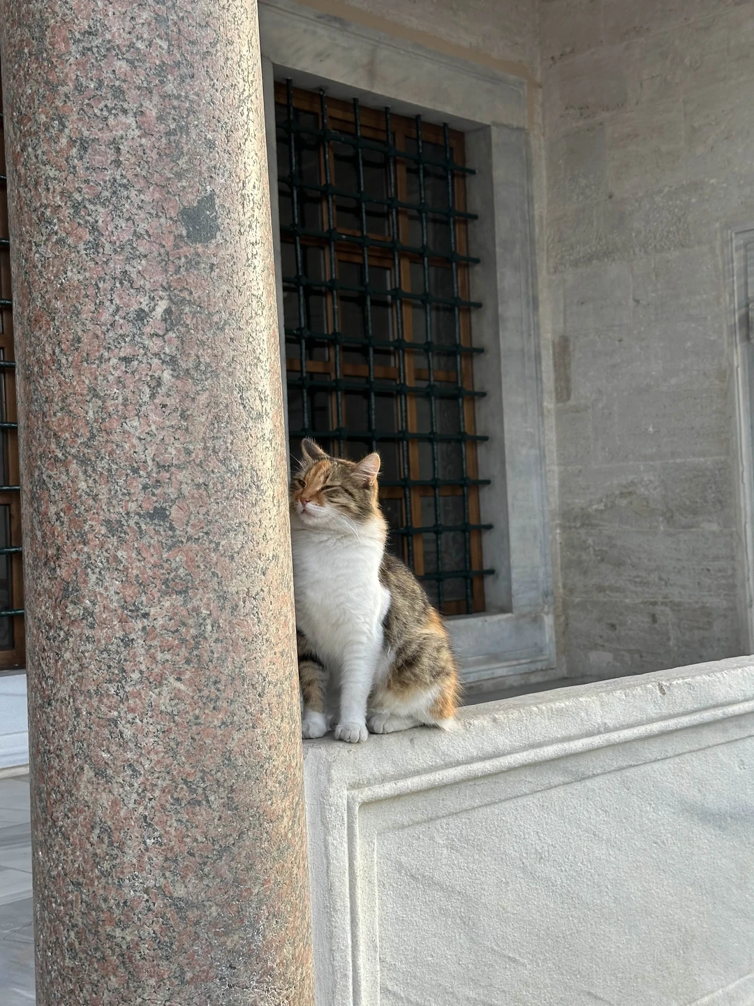 Отзыв о экскурсии "Знакомство со Стамбулом: Старый город + прогулка по Босфору" — фото 3