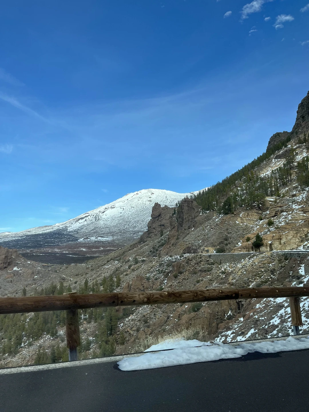 Отзыв о экскурсии "Вокруг острова за один день" — фото 5