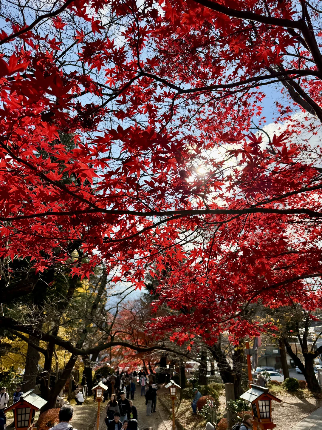 Отзыв о экскурсии "Вокруг Фудзи: где оживает история" — фото 2