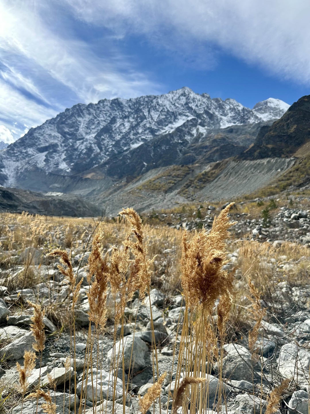 Отзыв о экскурсии "Треккинг к Цейскому леднику" — фото 4