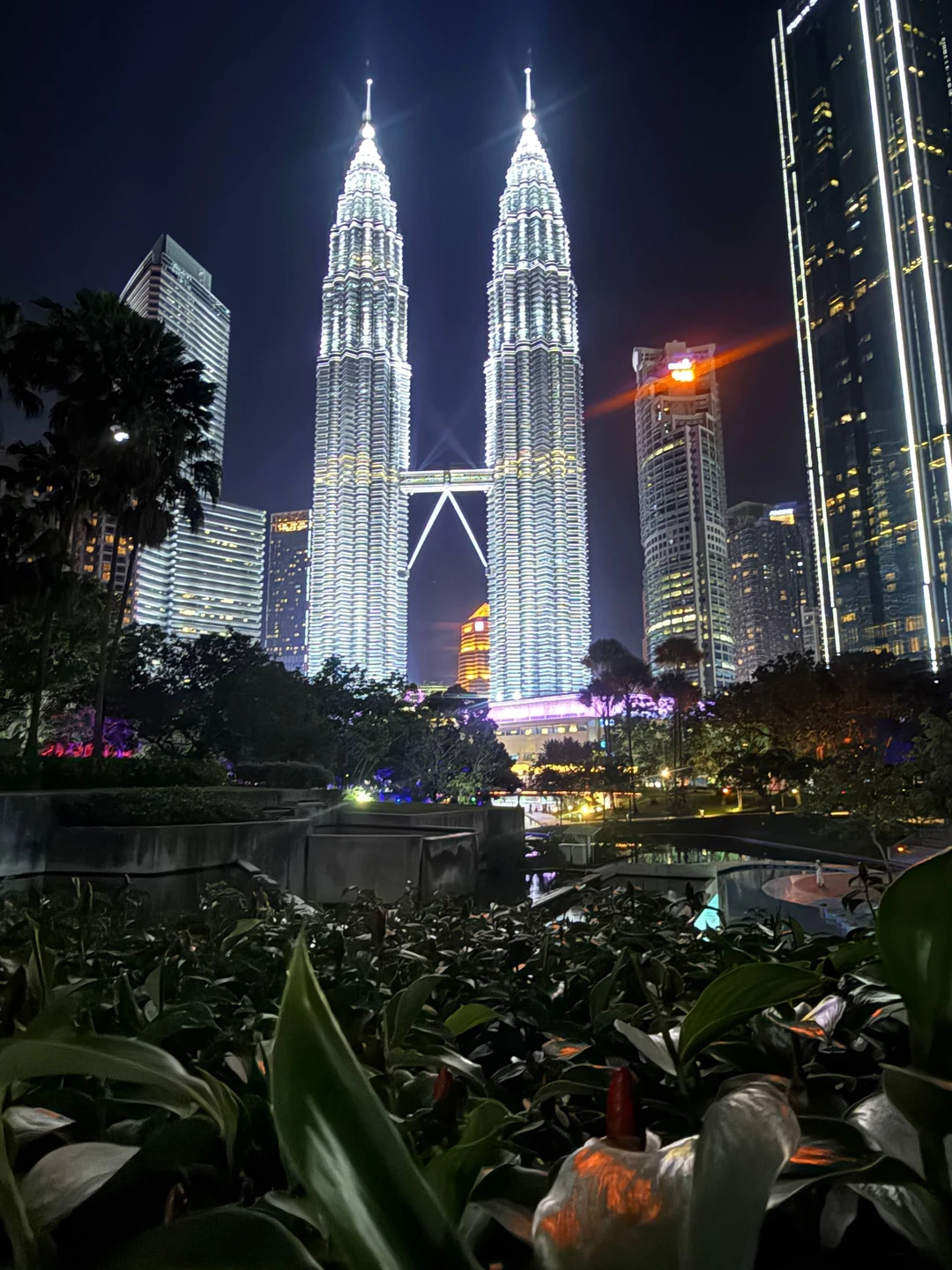 Отзыв о экскурсии "Большое путешествие по 5 странам Юго-Восточной Азии: Таиланд, Камбоджа, Вьетнам, Сингапур, Малайзия" — фото 6