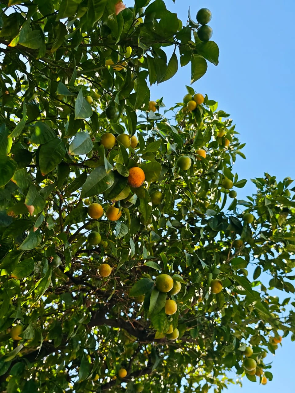 Отзыв о экскурсии "Первая встреча с Афинами!" — фото 3