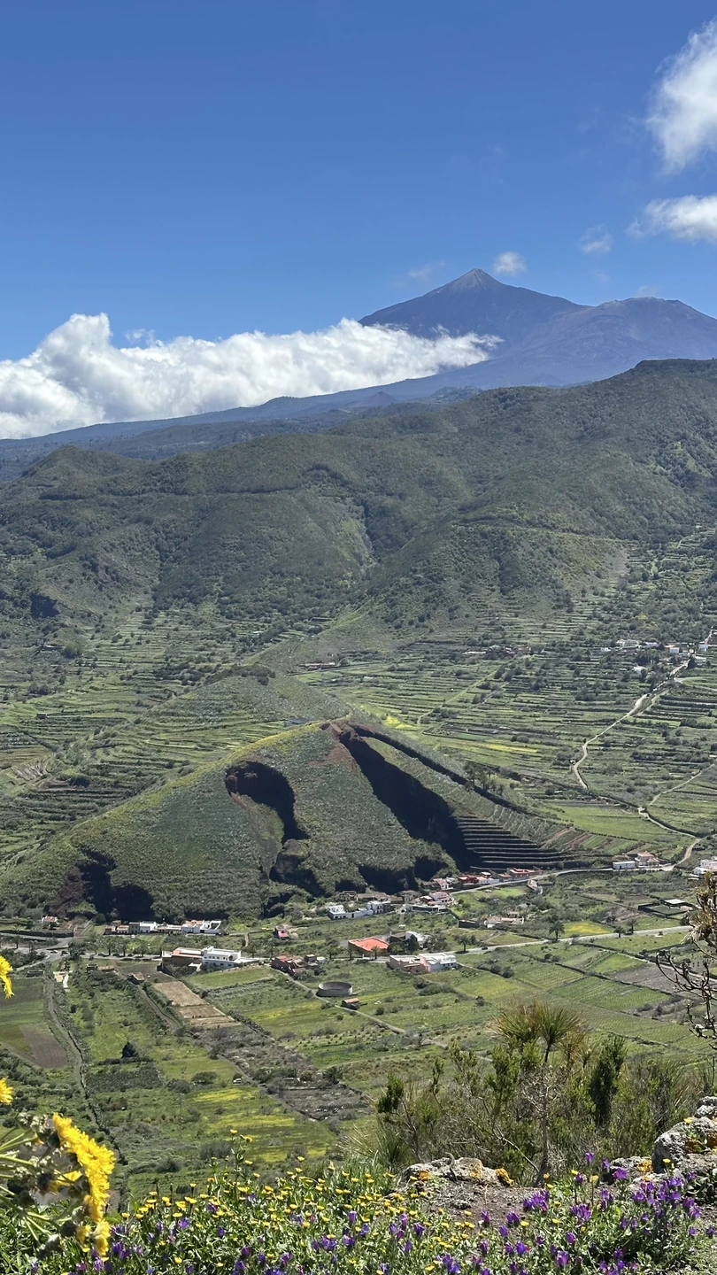 Отзыв о экскурсии "Сквозь джунгли Тенерифе к секретным водопадам" — фото 2