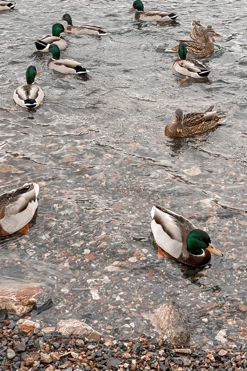 Отзыв о экскурсии "Красноярская ГЭС, Столбы и панорама города" — фото 8