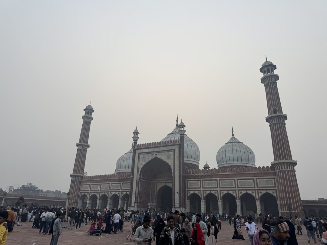 Отзыв о экскурсии "Тур-знакомство с Индией: главные места Дели, Джайпура, Агры и Варанаси за 8 дней" — фото 2