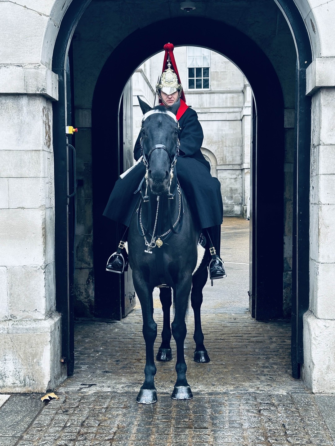 Отзыв о экскурсии "Все самое важное в Лондоне за 2,5 часа" — фото 2