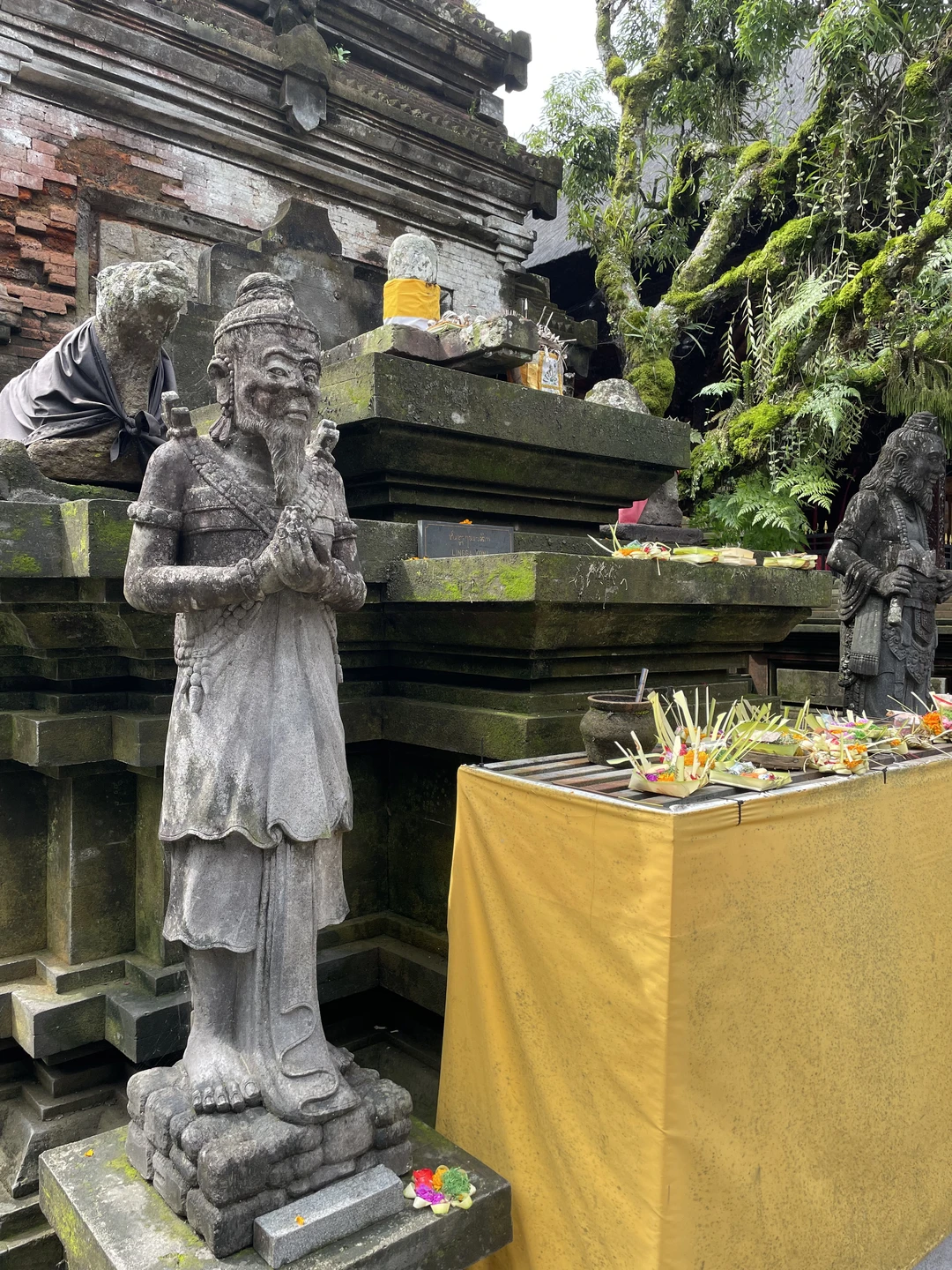 Отзыв о экскурсии "Все краски Бали" — фото 5