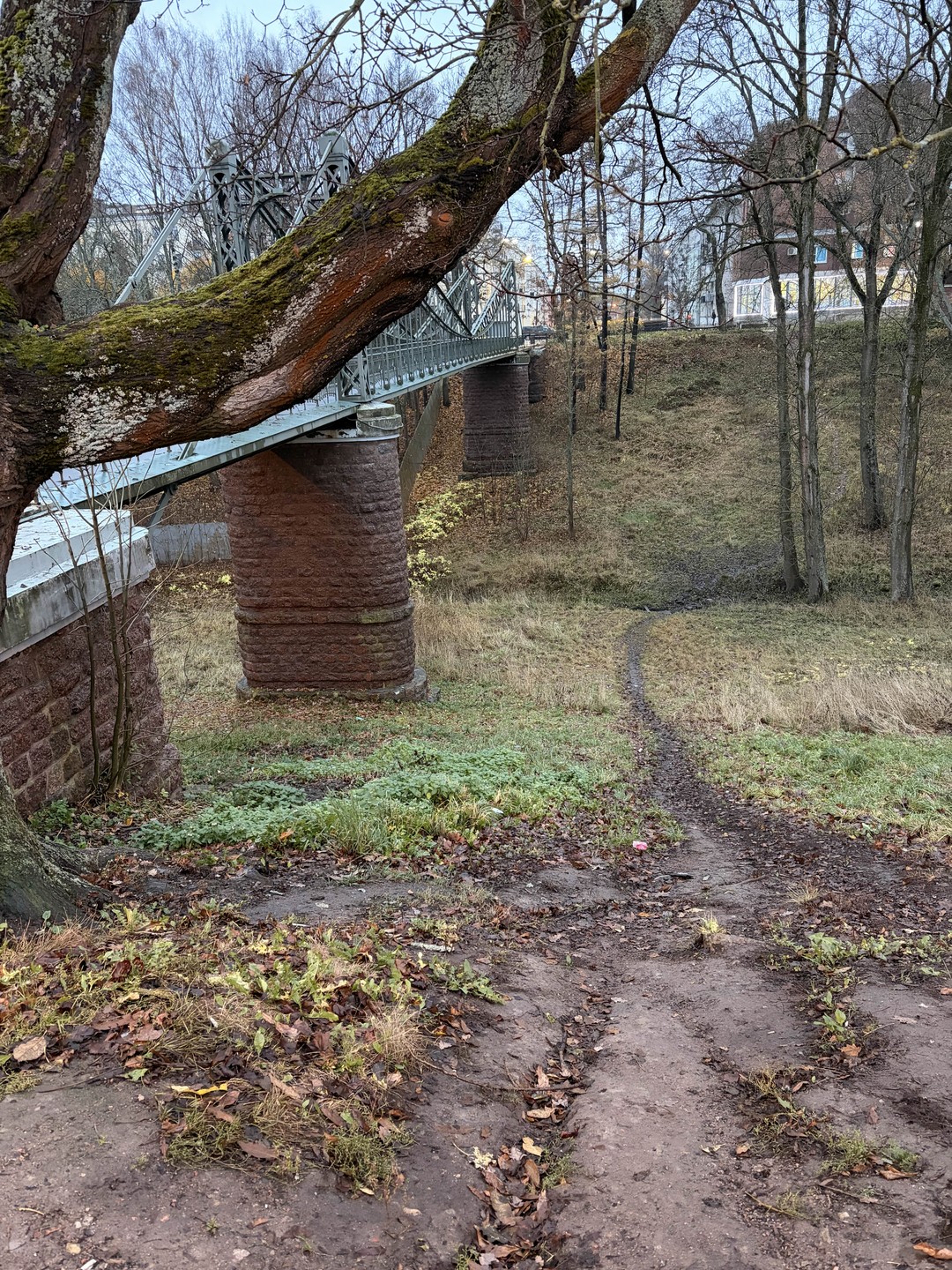 Фото путешественника — 5