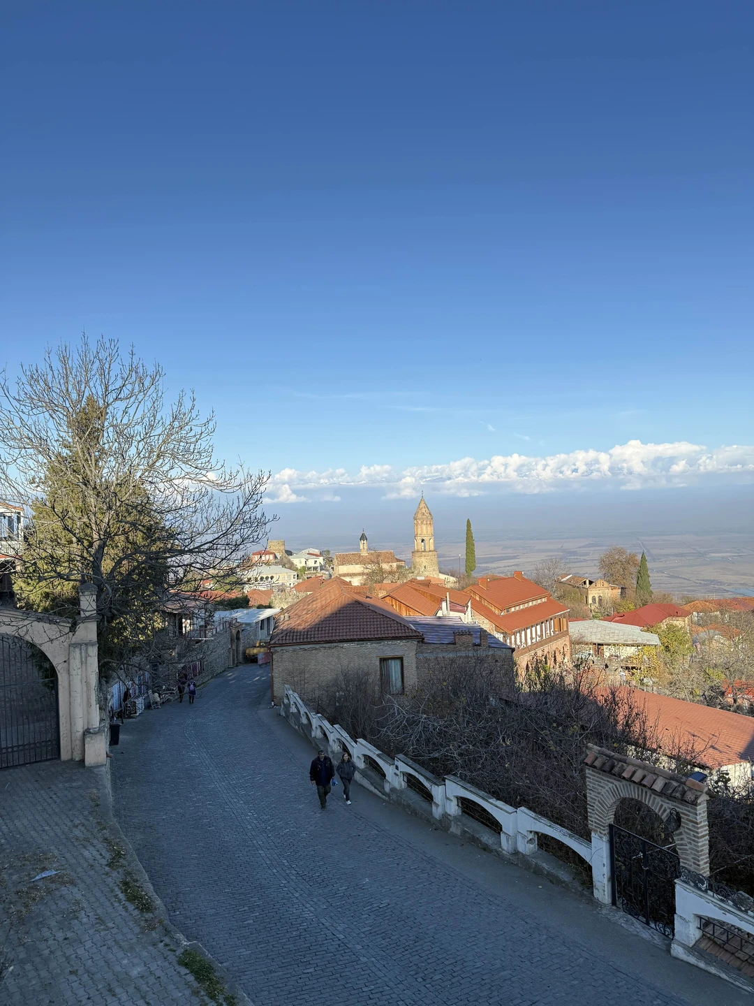 Отзыв о экскурсии "Кахетия — родина вина, чачи и красоты!" — фото 6