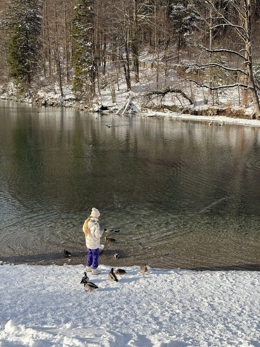 Отзыв о экскурсии "Из Мюнхена — в замок Нойшванштайн, деревню Обераммергау и монастырь Этталь" — фото 2