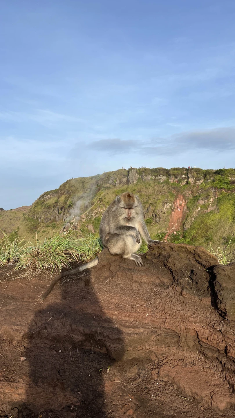 Отзыв о экскурсии "Незабываемый рассвет на вулкане Батур" — фото 5