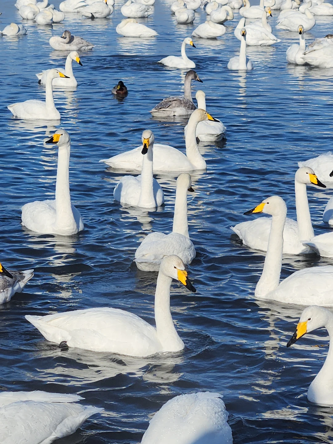 Фото путешественника — 4