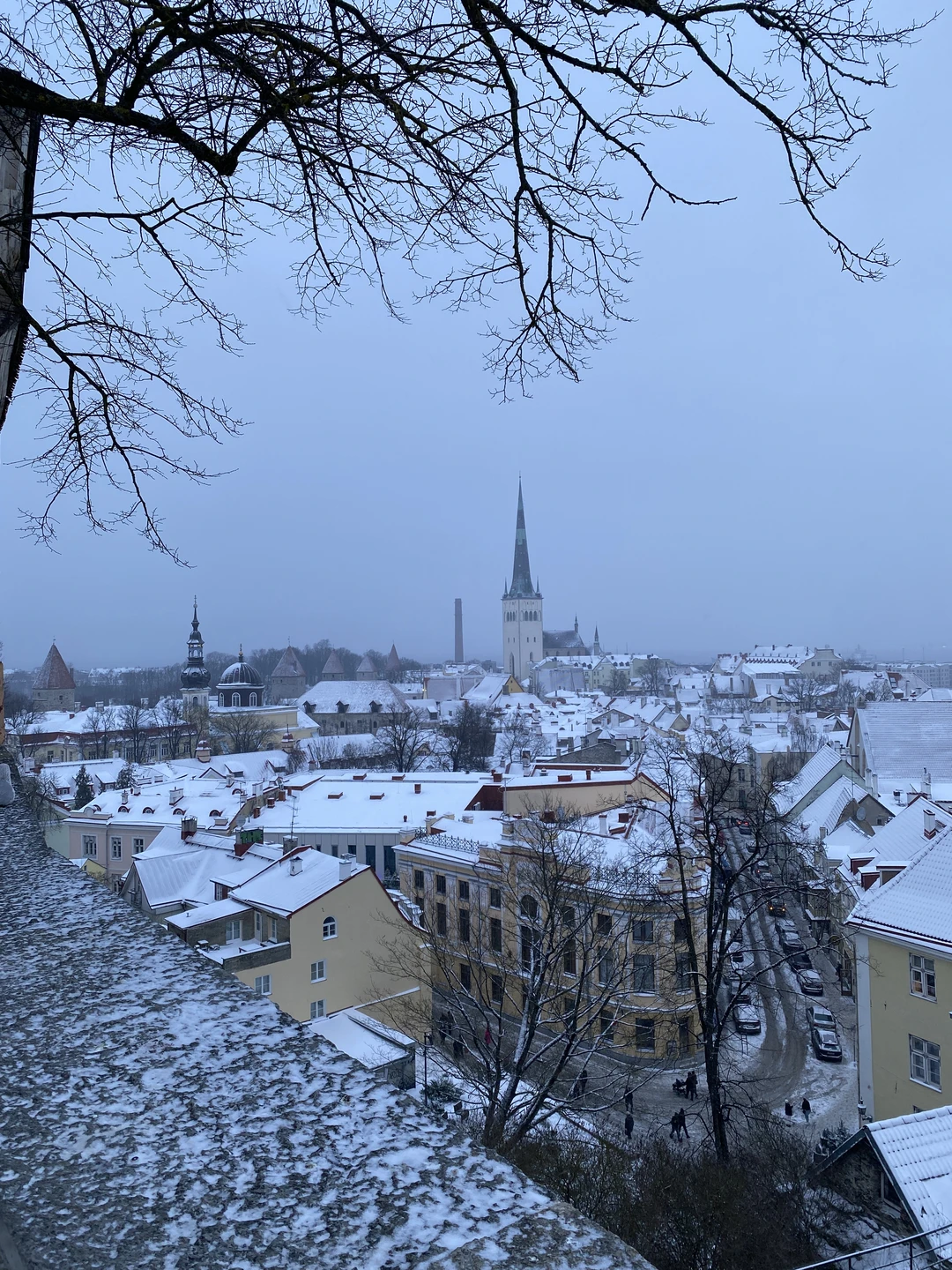 Отзывы об экскурсиях в Таллине