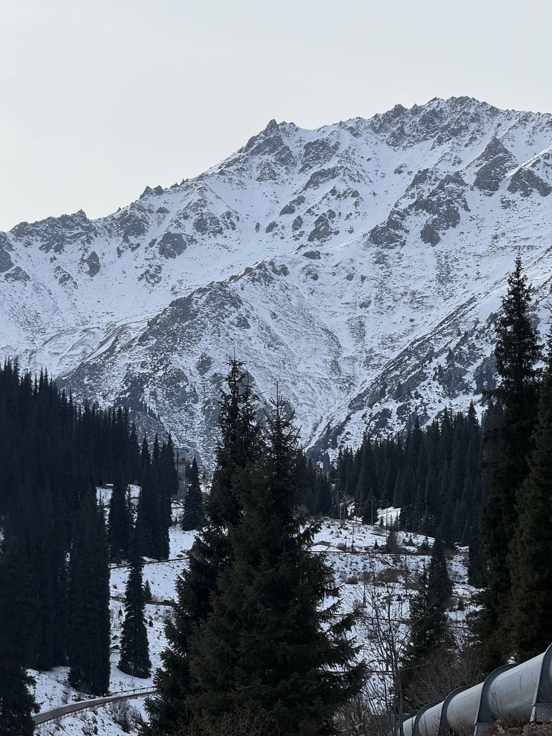 Отзыв о экскурсии "Путешествие к Большому Алматинскому озеру — из Алматы" — фото 4