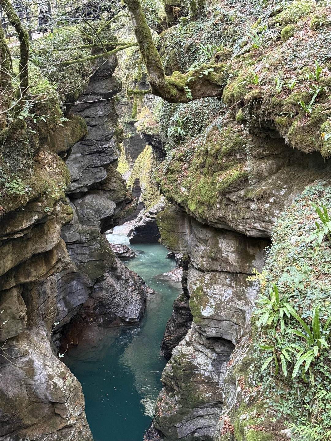 Отзыв о экскурсии "Из Кутаиси — в каньоны и пещеры западной Грузии" — фото 6