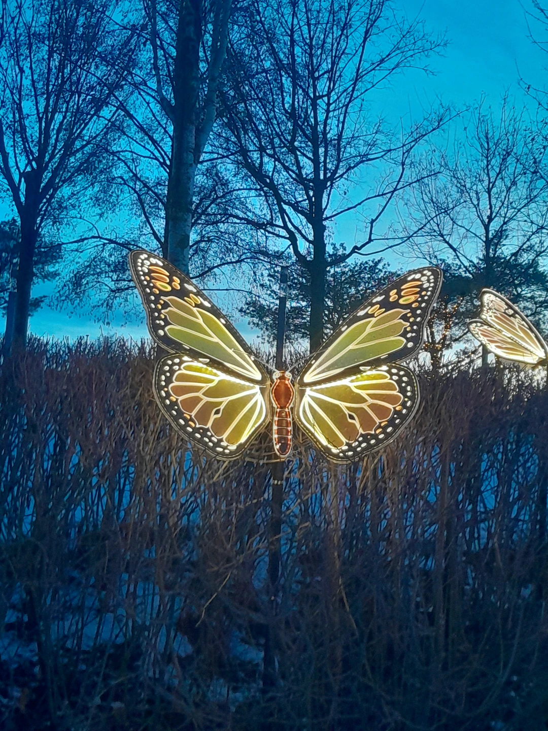 Отзыв о экскурсии "По Краснодару и парку Галицкого (пешком и на машине)" — фото 2