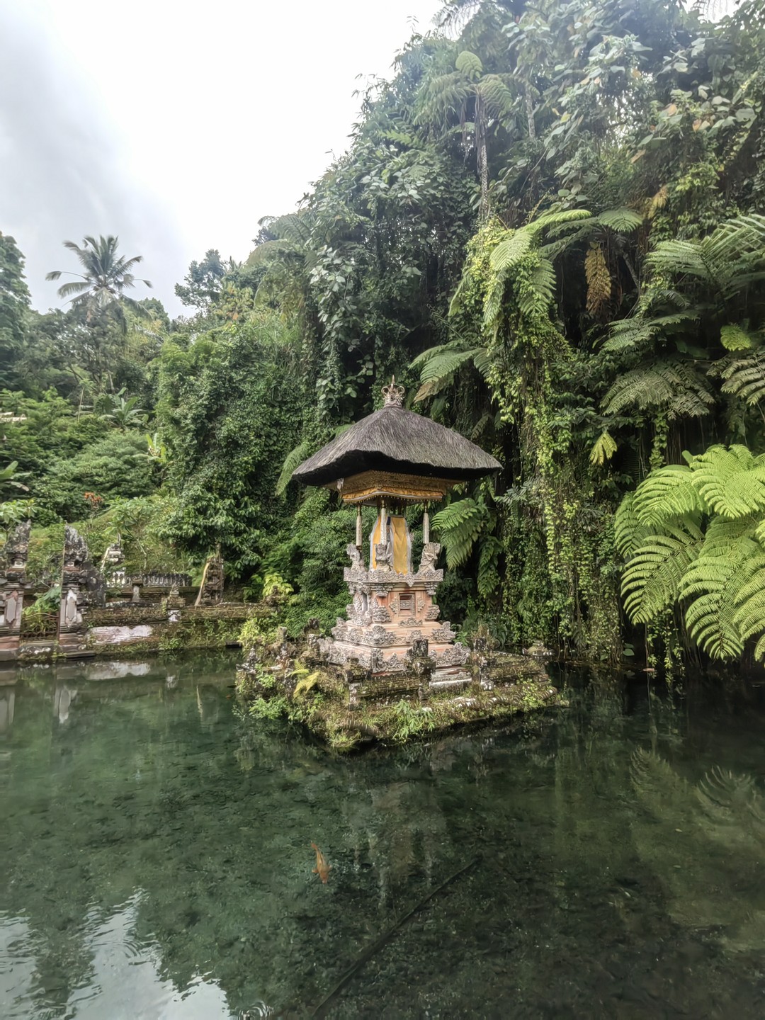 Отзыв о экскурсии "Знакомство с островом: самые живописные места Бали" — фото 3