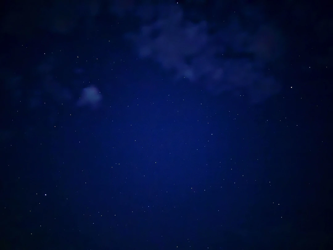 Отзыв о экскурсии "Ночь в калмыцкой степи: по следам кочевников" — фото 4