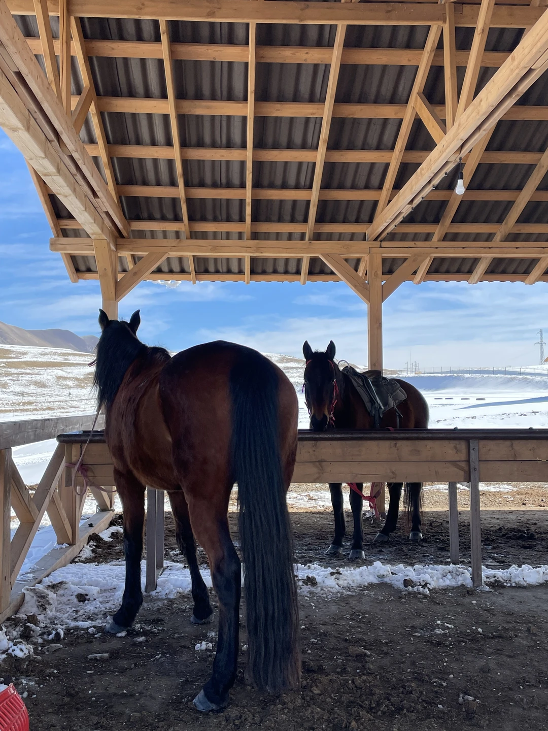 Отзыв о экскурсии "В Дагестан за приключениями, релаксом и природными чудесами" — фото 5